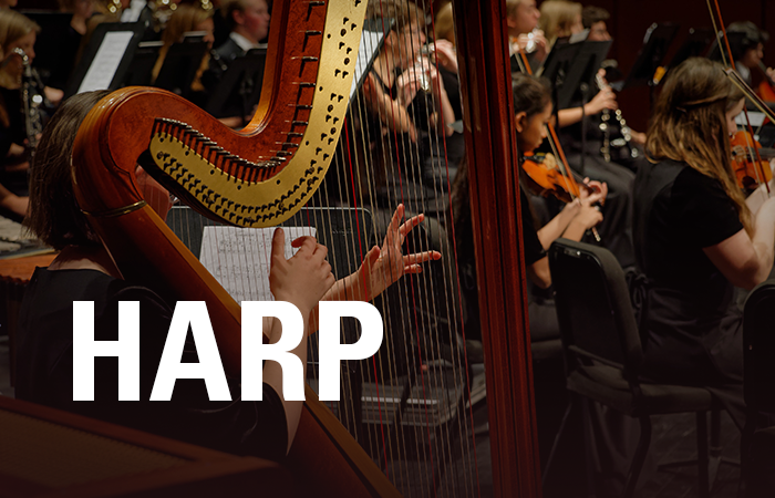 Harp High School Audition Excerpts